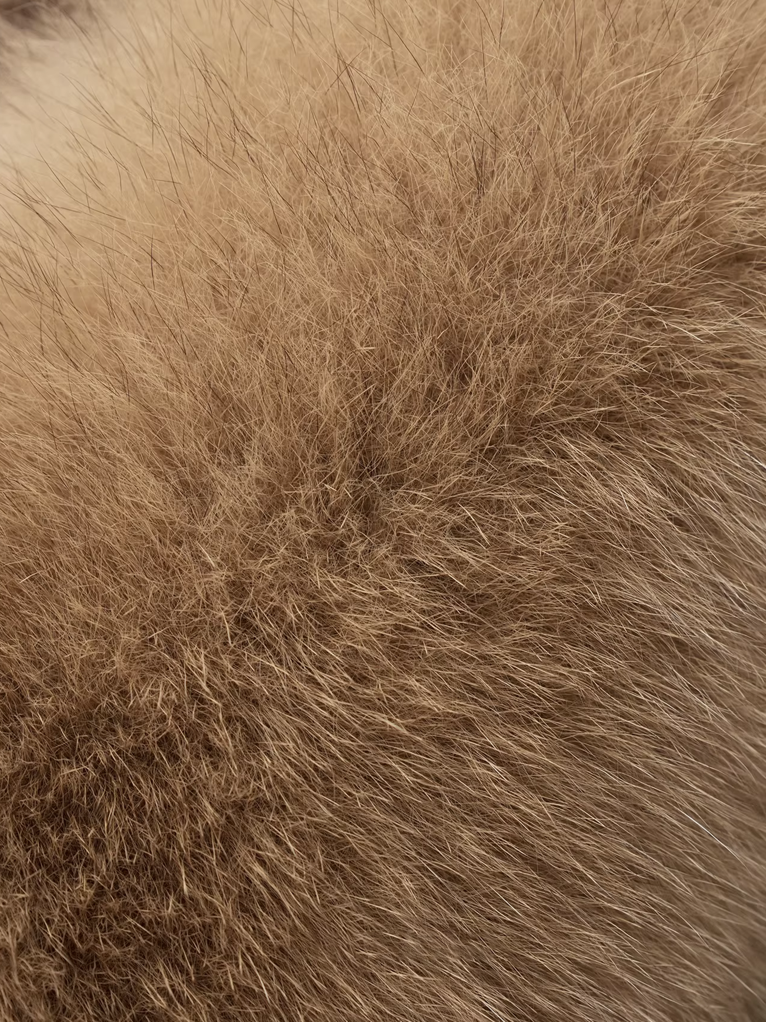 Women’s Mid-Length Down Coat with  Fox Fur Hood | 90% White Goose Down Winter Jacket