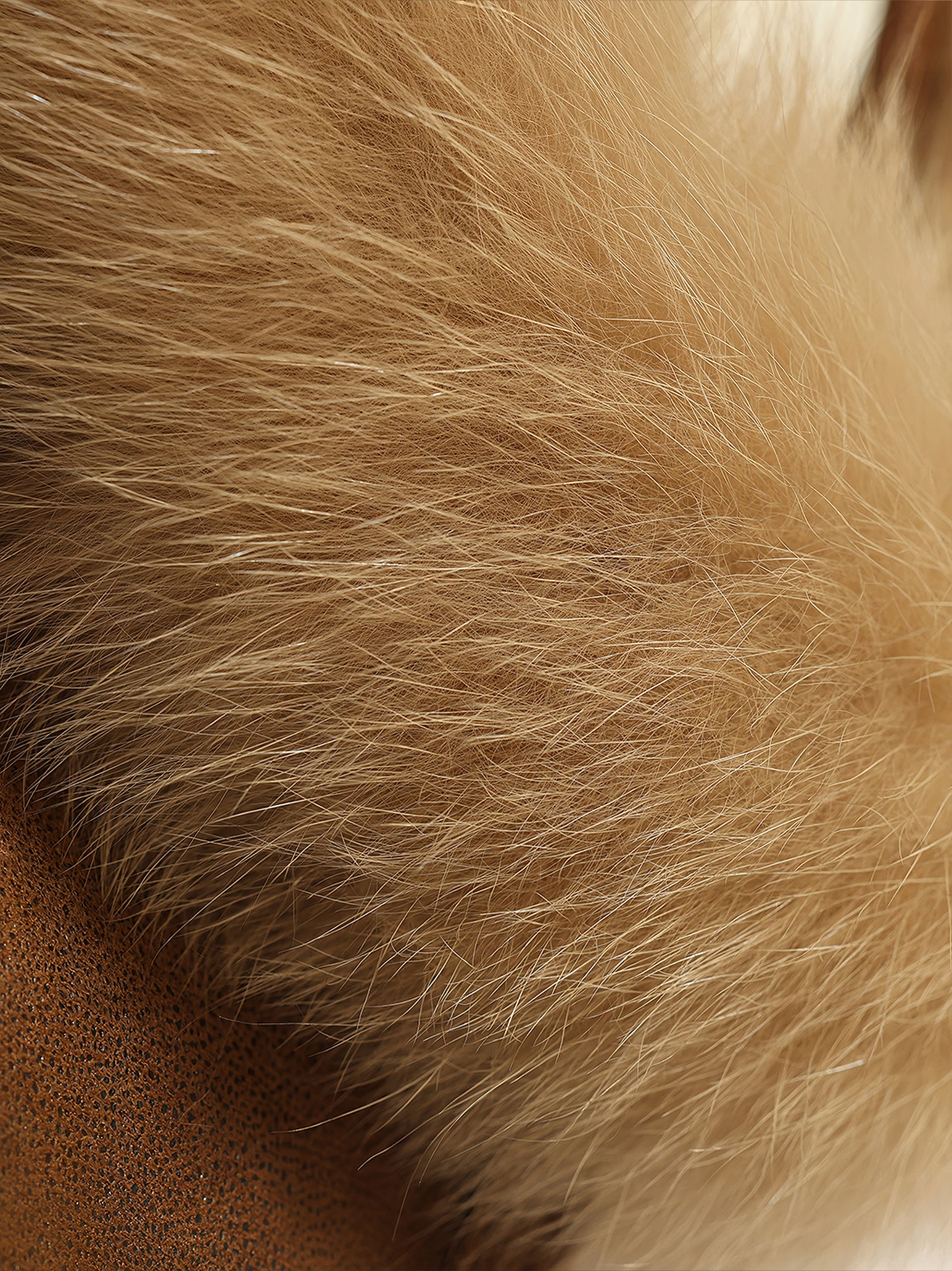 Lightweight Stretch Suede Jacket for Women – 90% White Goose Down with Natural Fox Fur Trim