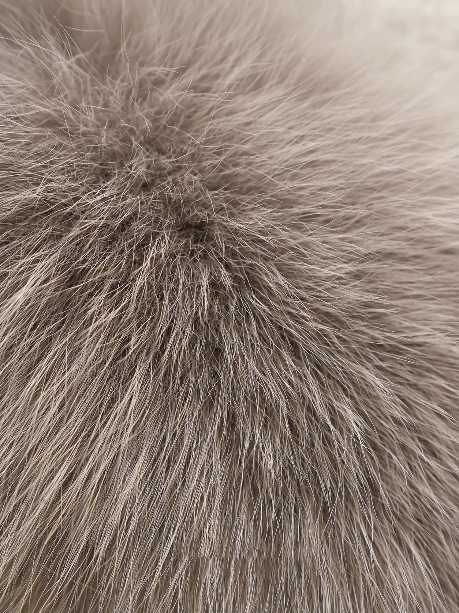 Women’s Short Double-Faced Wool Coat with  Fox Fur Cuffs | Loose Fit Alpaca Blend Jacket