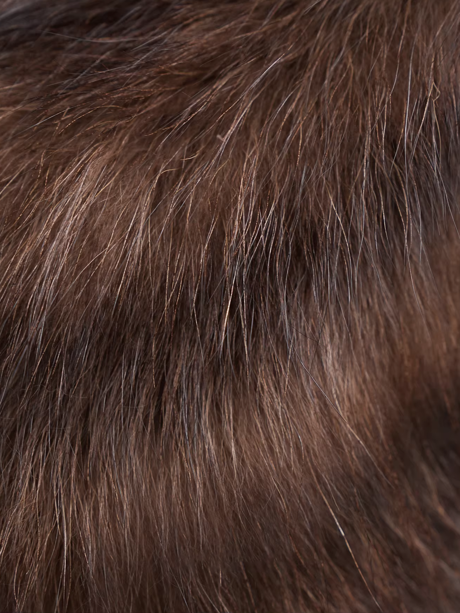 Women’s Short Down Parka with  Raccoon Fur Hood | Winter Warm Puffer Jacket