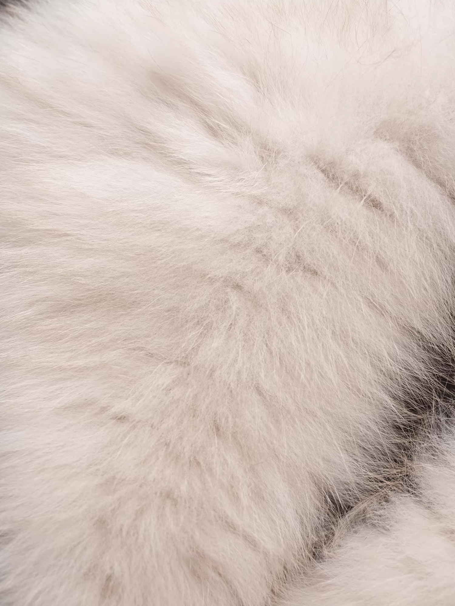 Women’s Wool-Blend Down Coat with  Fox Fur Collar | 90% White Goose Down Winter Jacket