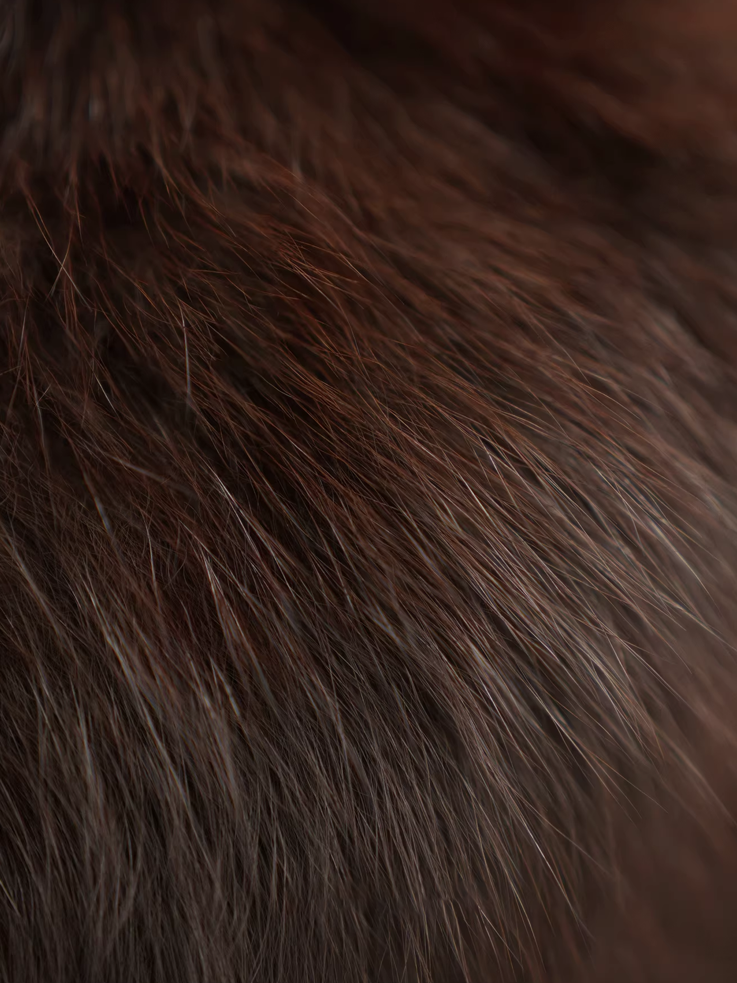 Women’s Down Parka Jacket with  Fox Fur Hood | 90% White Goose Down Winter Coat